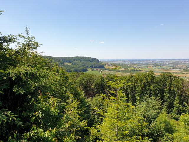 Blick vom Gleichener Limesblick
