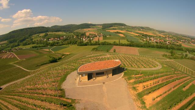 Blick vom Ranzenberg