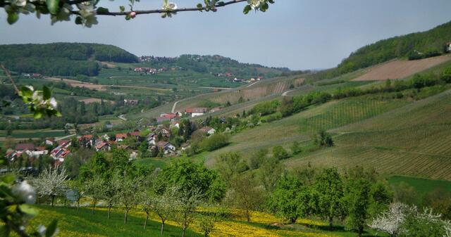 Das Steinbacher Tal im Mai