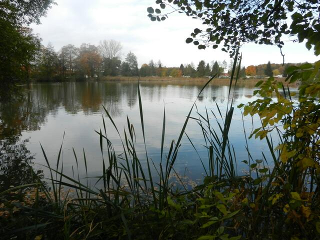 Der Buchhorner See