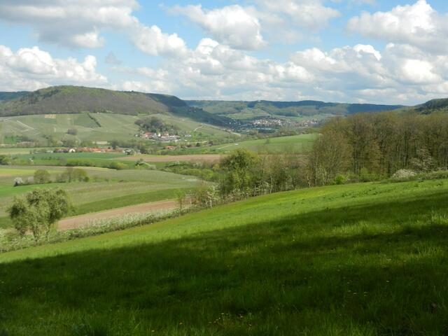 Herrlicher Blick auf Heuholz und die Weinberge