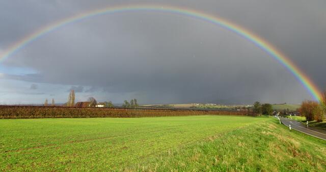 Regenbogen überm Lerchenhof
