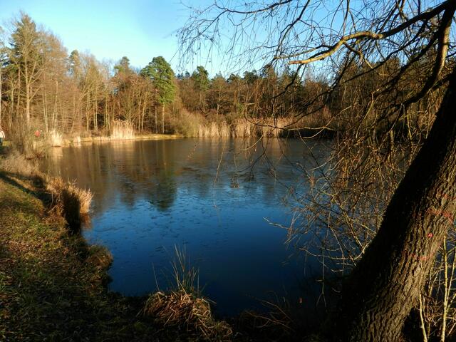Der idyllische Gleichener See