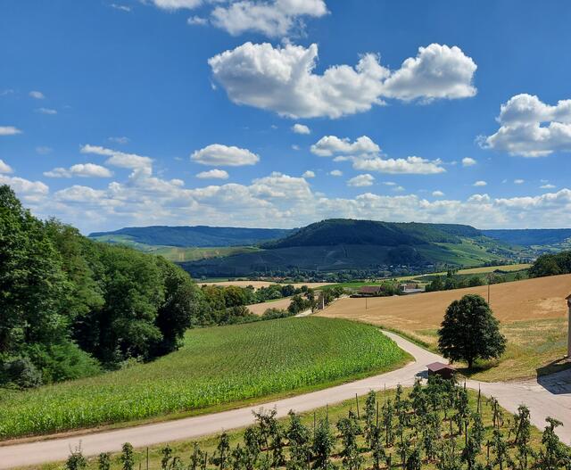 Blick ins Steinbacher Tal und auf die Heuholzer Weinberg