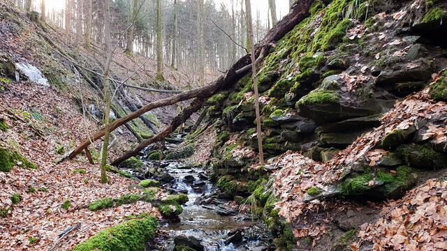 Wildromantische Wanderung in der  Kalksklinge bei Untersteinbach