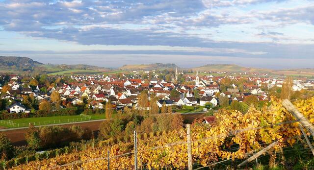 Pfedelbach im Herbstkleid