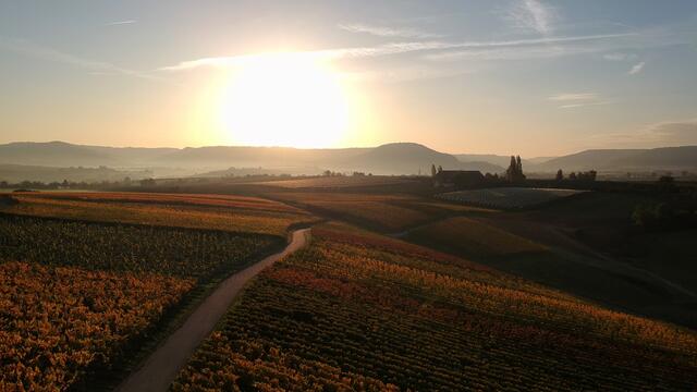 Nein, nicht Provence oder Toscana - Lerchenhof bei Pfedelbach