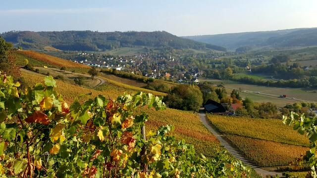Blick Richtung Büchelberg-Schuppach
