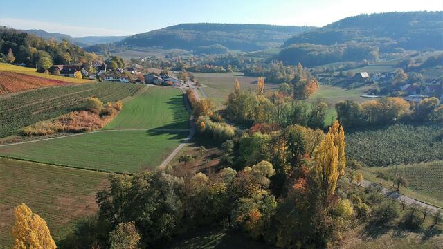 Die Ohrn schlängelt sich zwischen Heuholz und Harsberg