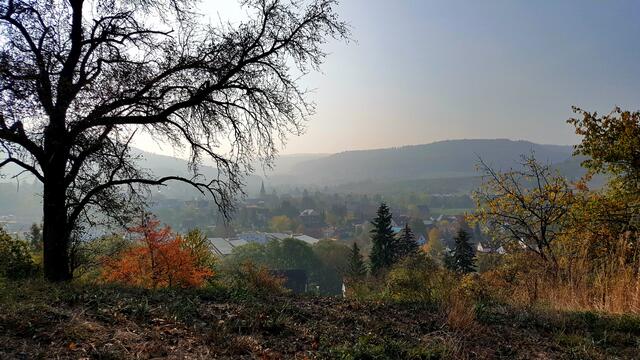 Untersteinbach im Frühnebel