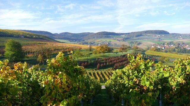 Steinbacher Tal mit Blick Richtung Vorder-Hinterespig