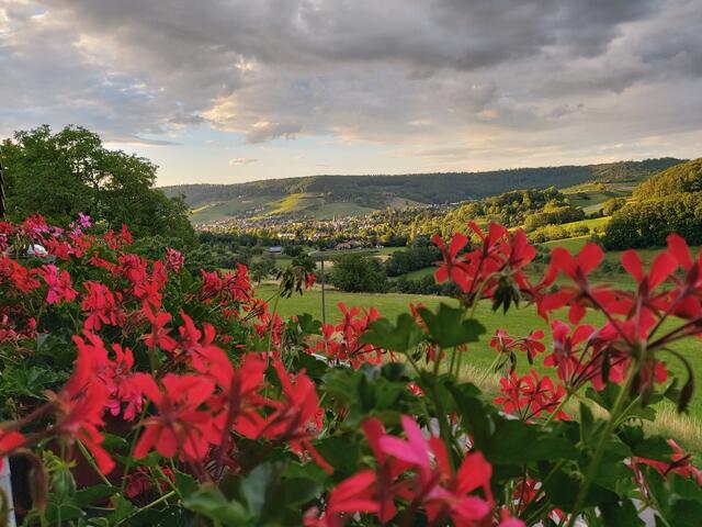 Balkonblick im Sommer auf Untersteinbach