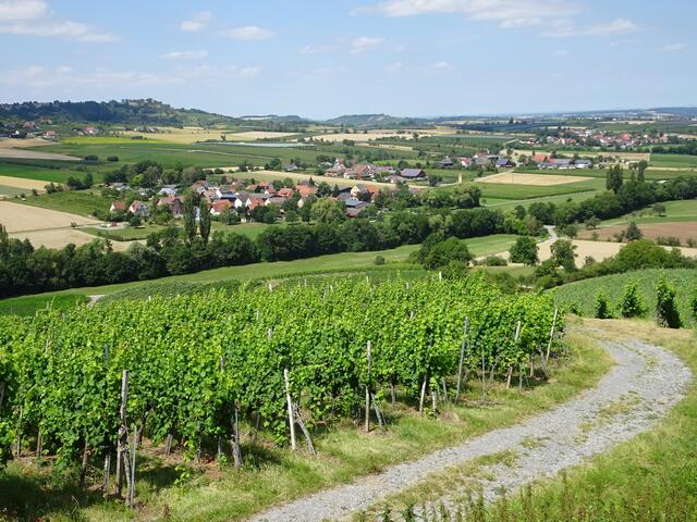 Blick vom Ranzenberg ins Hohenloher Land