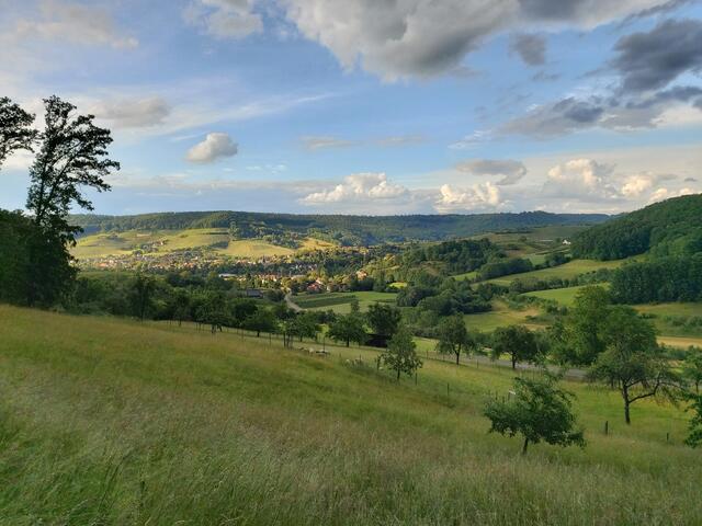 Blick vom Waldrand in Floßholz im Juni auf Untersteinbach
