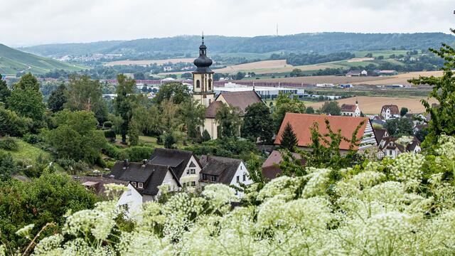 Binswangen