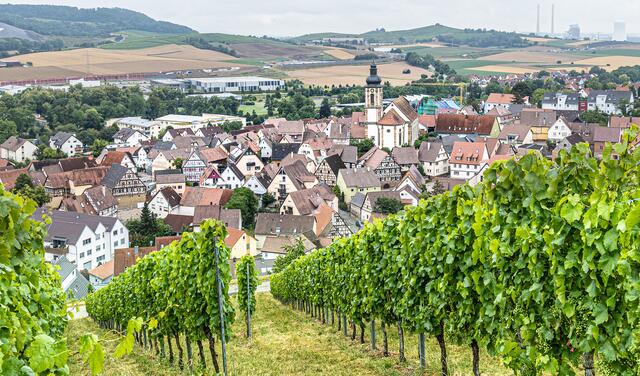 Erlenbach
