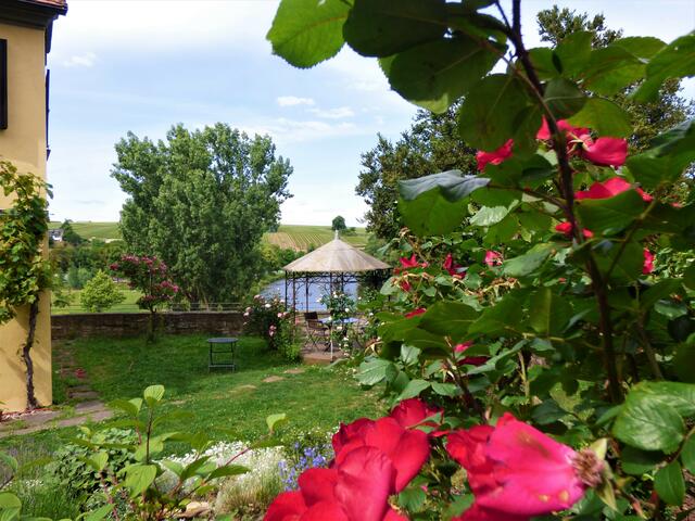 Ein hübscher Pavillon in einem Garten - ein Fluss, Weinberge und im Rücken der Fotografin ein geschichtsträchtiges Gebäude. Italien? Nö...... Wo dann? --- 4. Buchstabe der Ortschaft / Gemeinde / Stadt .....