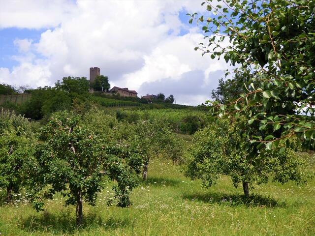 Zu welcher Burg schauen wir hier hinauf? --- 8. Buchstabe der Burg.......