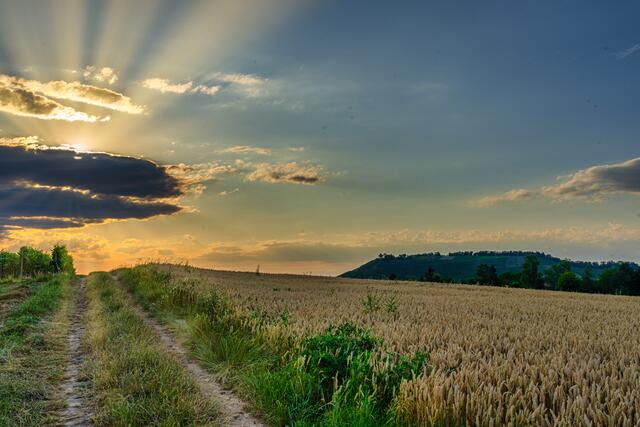 Sonnenuntergang in Binswangen