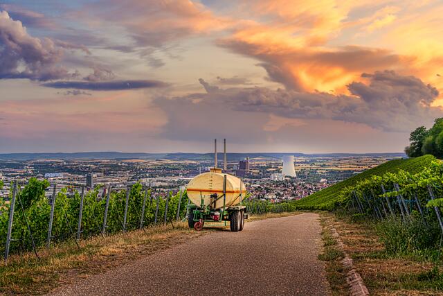 Wasser für die Reben am Scheuerberg