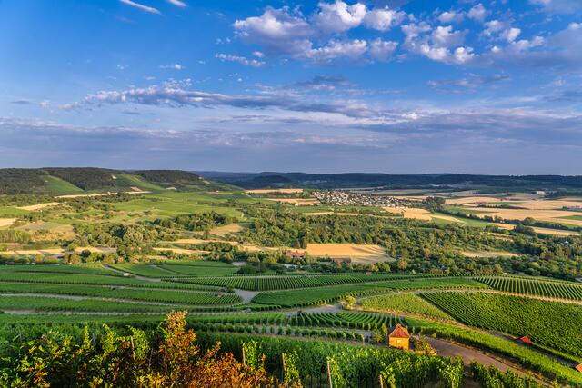 Blick vom Scheuerberg ins Weinberger Tal