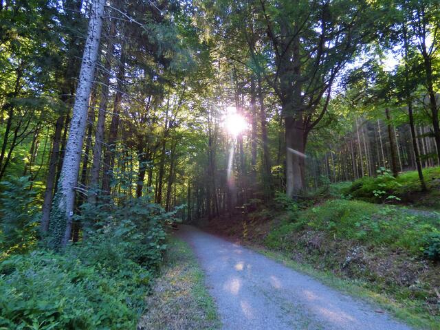 Die Sonne steht noch tief, es ist noch herrlich frisch und kühl.