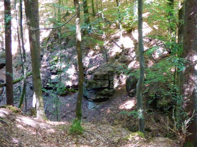 Hier sieht man den gegenüberliegenden steilen Hang der Bodenbachschlucht. Leider war dann mein Akku leer :-(((, sodass es keine weiteren Fotos gibt.