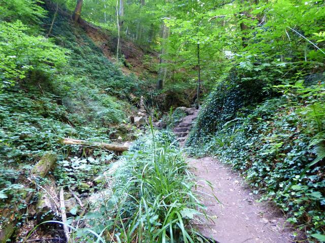 Ein uriger, wilder Pfad.