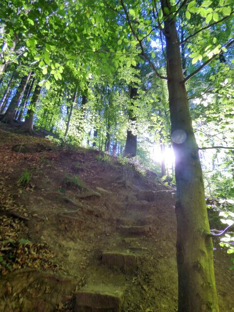 Über Treppchen und Pfade geht es noch höher hinauf, bevor man ganz oben angelangt ist.