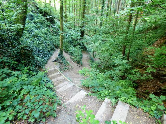 Blick zurück - die letzten Meter gingen über Trittstufen.