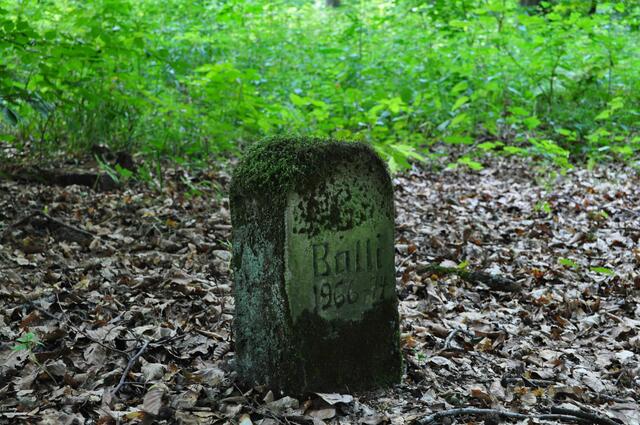 Grabstein eines treuen Förster oder Jägerhunds | Foto: Daniela Somers