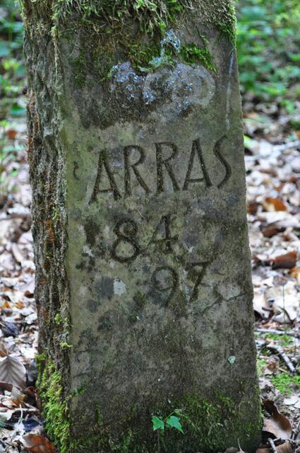Grabstein eines treuen Förster oder Jägerhunds | Foto: Daniela Somers