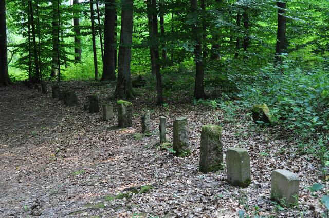 Friedhof der Jäger und Försterhunde | Foto: Daniela Somers
