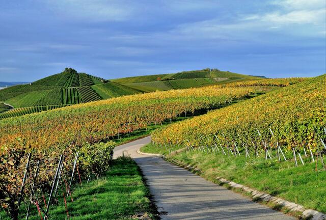Blick zum Scheuerberg