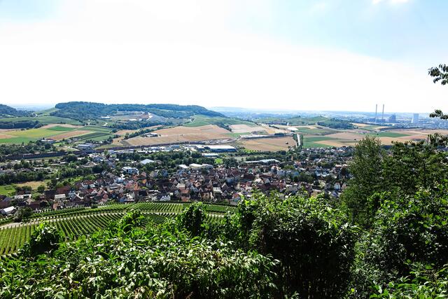 Erlenbach vom Kay Berg Richtung Wartberg