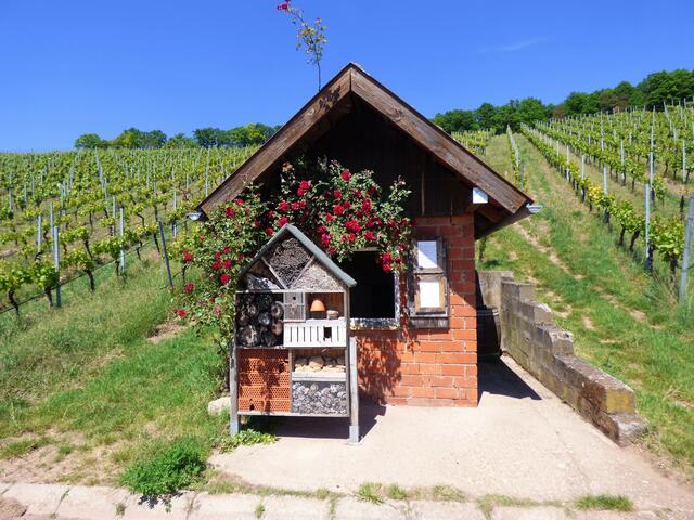 Ist das ein hübsches Weinberghäuschen. Wie heißt der Ort, zu dem dieses außergewöhnliche "Schmuckstück" gehört? --- 7. Buchstabe des Ortes / Gemeinde / Stadt.....