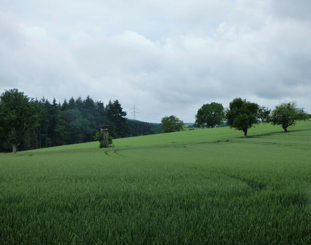 Idyllische Natur rund um Ittlingen