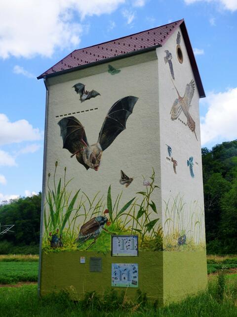 Der "Fledermausturm" von Ittlingen