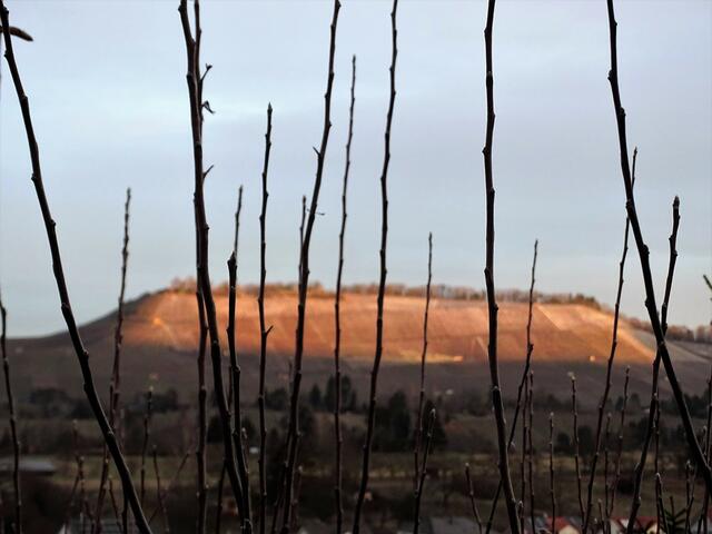 Morgenstimmung über dem Scheuerberg