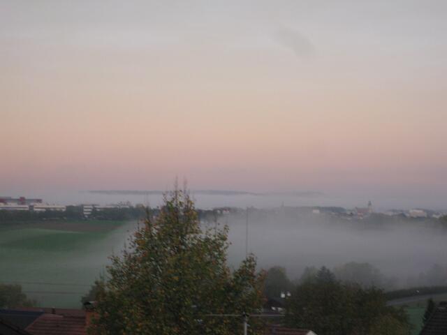 Morgennebel im Sulmtal