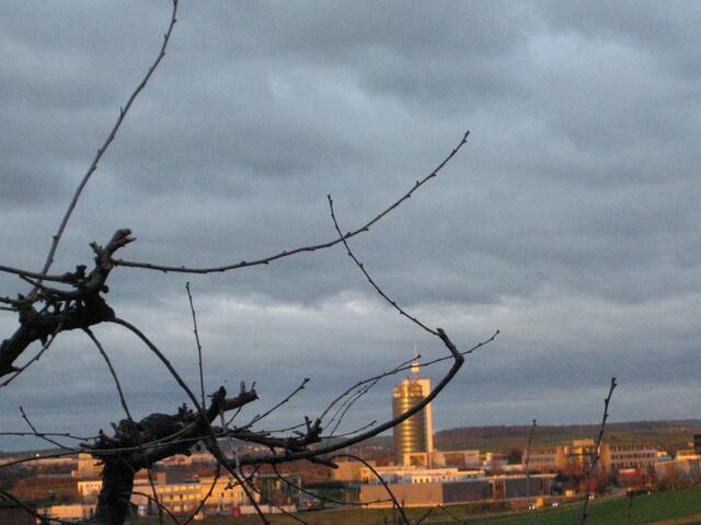 Morgenstimmung -1-