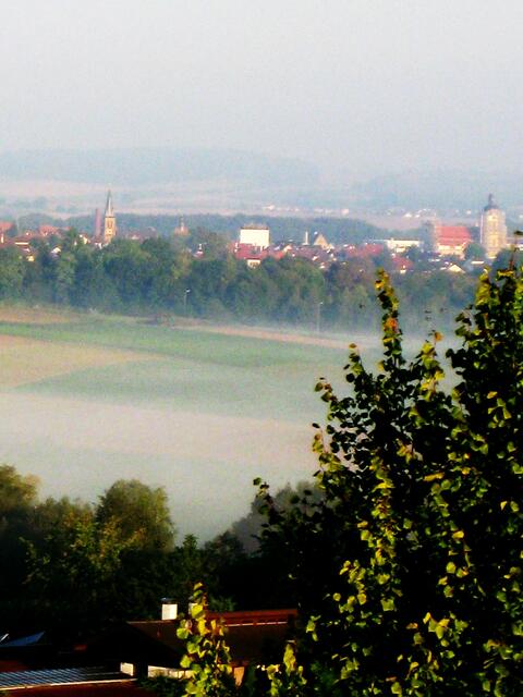Frühnebel in Neckarsulm