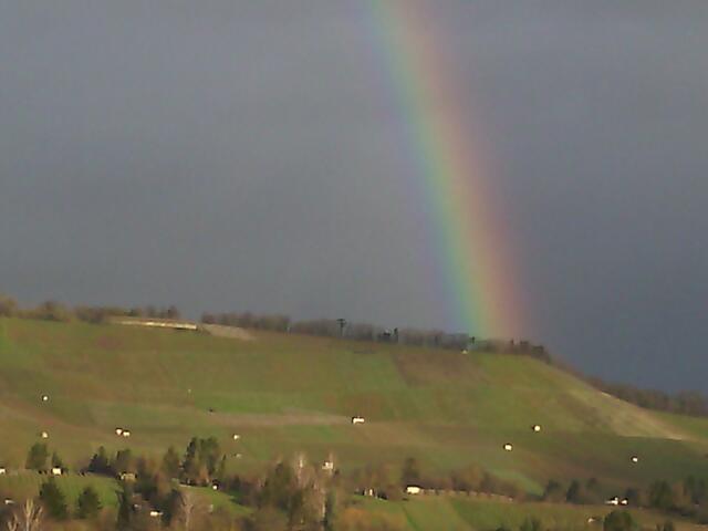 Regenbogen am Scheuerberg