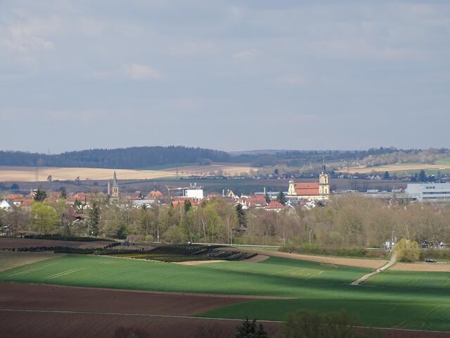 Blick auf Neckarsulm -2-