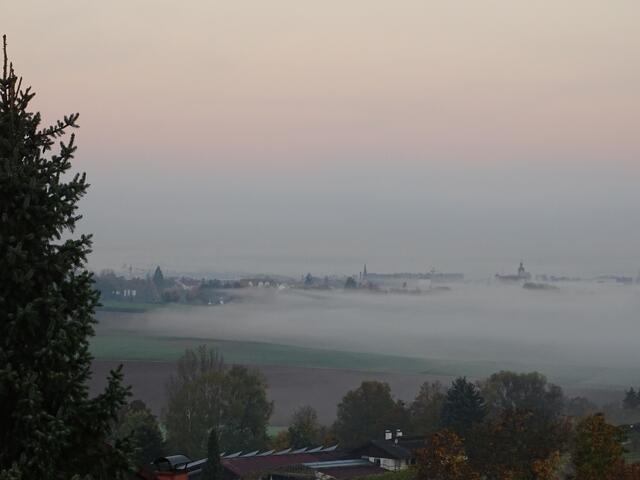 Morgennebel in Neckarsulm -1-