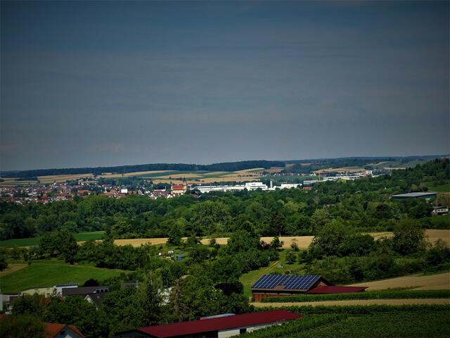 Blick auf Neckarsulm -1-