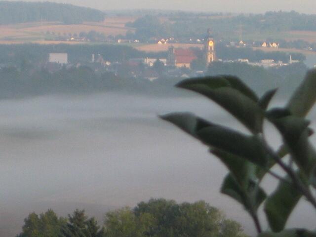 Blick auf Neckarsulm im Nebel