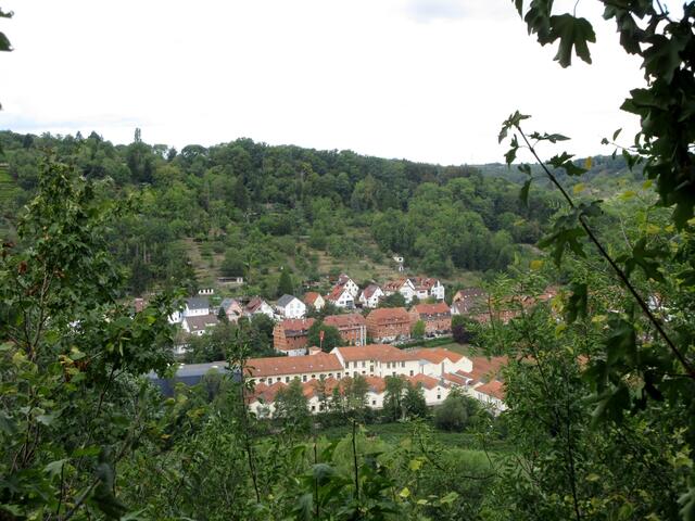 Vom Naturdenkmal Eberstein auf die Kammgarnspinnerei. Wir sind im Gewann Enzhalde