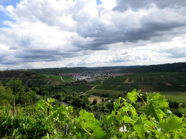 Rechts der Hamberg, dann die Felsengartenkellerei und Hessigheim. Dahinter im Tal der Schreyerhof (nicht zu sehen) und danach dann Mundelsheim.