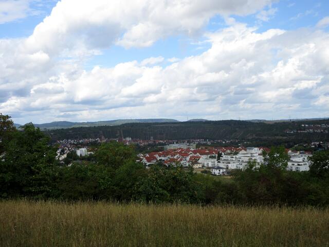 ... hat man einen Ausblick auf Besigheim, wie es da umrahmt von Weinbergen liegt.